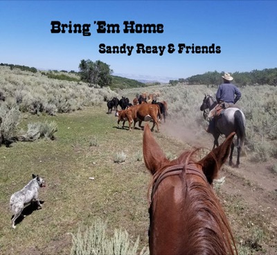 Sandy Reay Bring Em Home CD